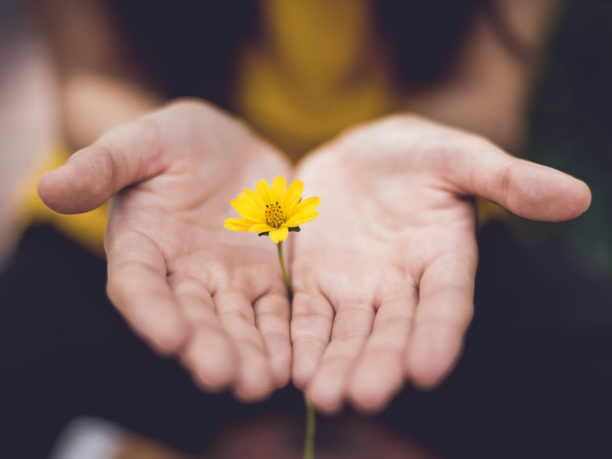 Ein Mädchen, dass eine gelbe Blume hält
