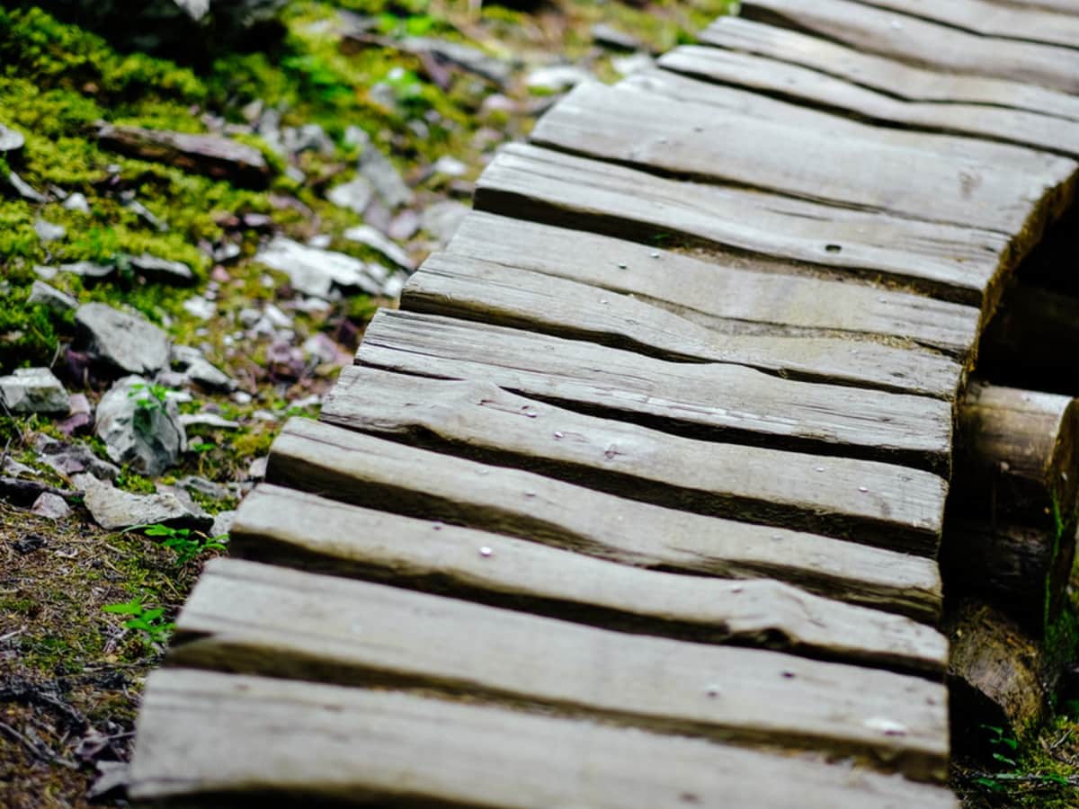 Bild einer Holzbrücke